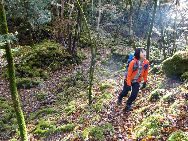 山犬嶽（やまいぬだけ）徳島県　苔の名所_b0124306_23202886.jpg