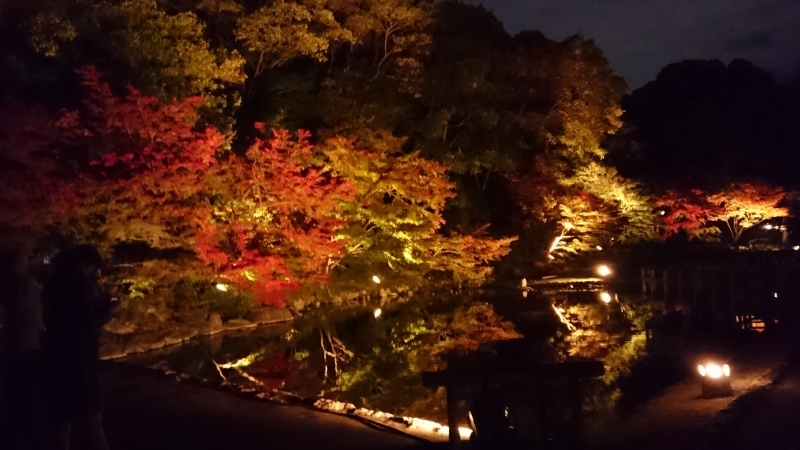 11/23  徳川園　紅葉祭_c0152507_04153487.jpg