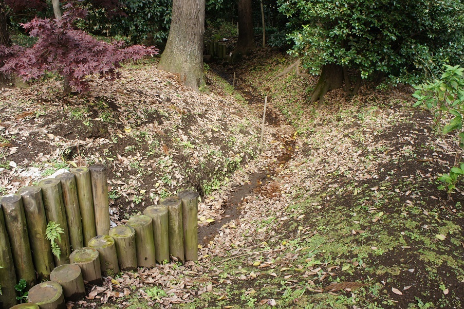 平林寺の紅葉_b0112909_21555922.jpg