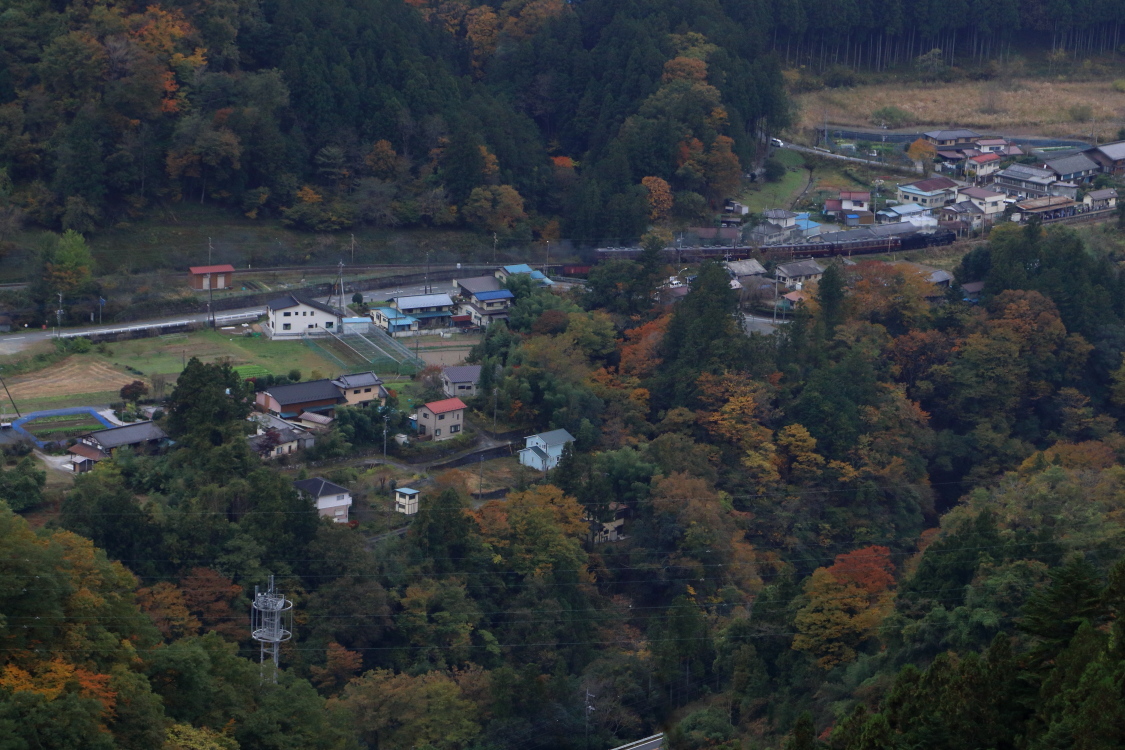 荒川上流の紅葉 - 秩父・2017年秋 -_b0190710_23061194.jpg