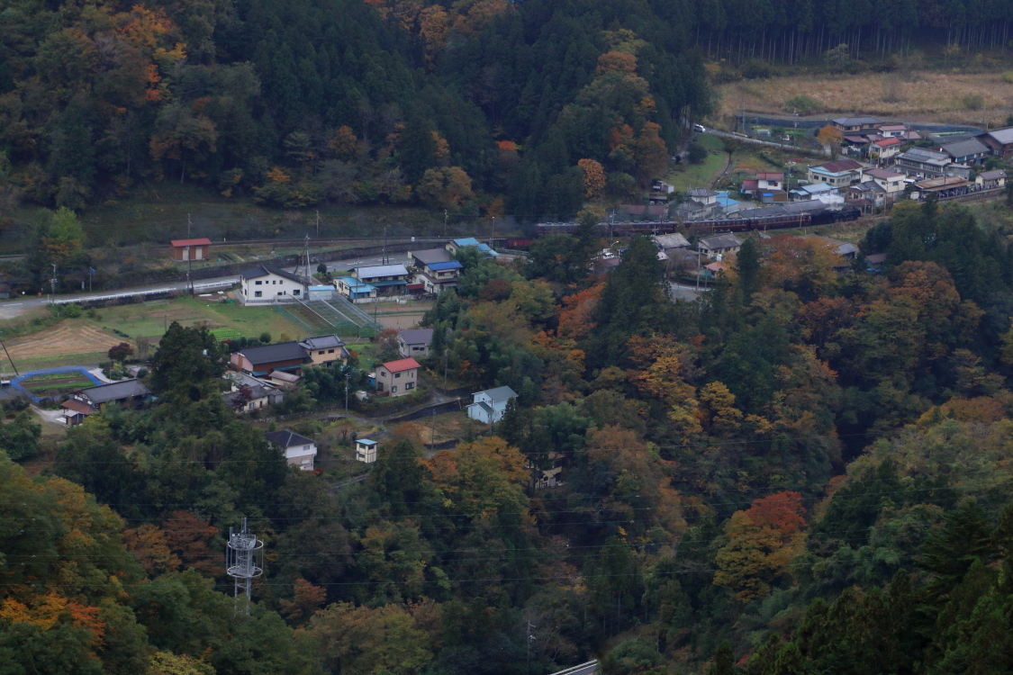 荒川上流の紅葉　- 秩父・2017年秋 -_b0190710_23061194.jpg