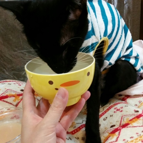 e0144012_02492212.jpeg