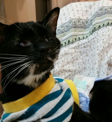 e0144012_03183892.jpeg