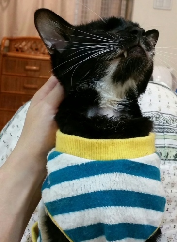 e0144012_03223574.jpeg