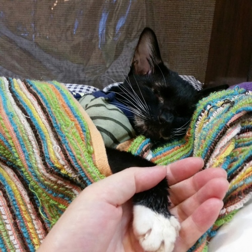 e0144012_04243012.jpeg