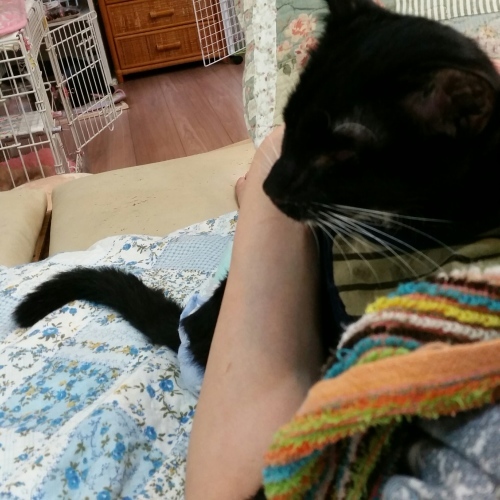 e0144012_04292152.jpeg