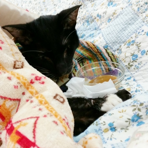 e0144012_04314606.jpeg