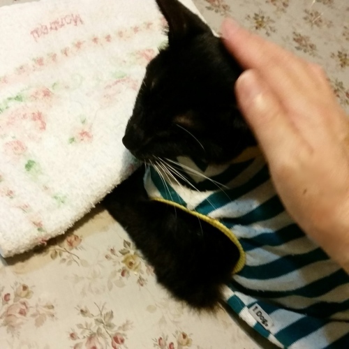 e0144012_04373601.jpeg