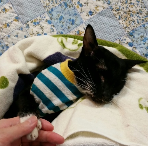 e0144012_04383674.jpeg