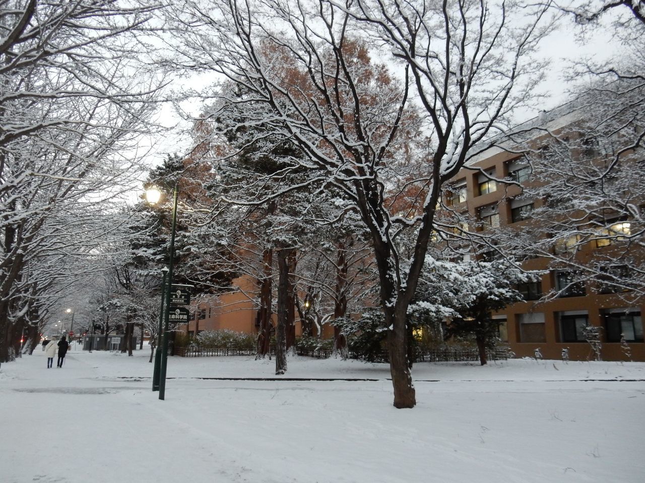 冬景色のキャンパス_c0025115_21443934.jpg