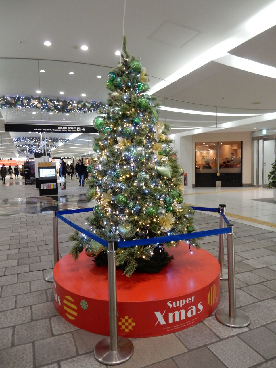 冬景色のキャンパス_c0025115_21444704.jpg