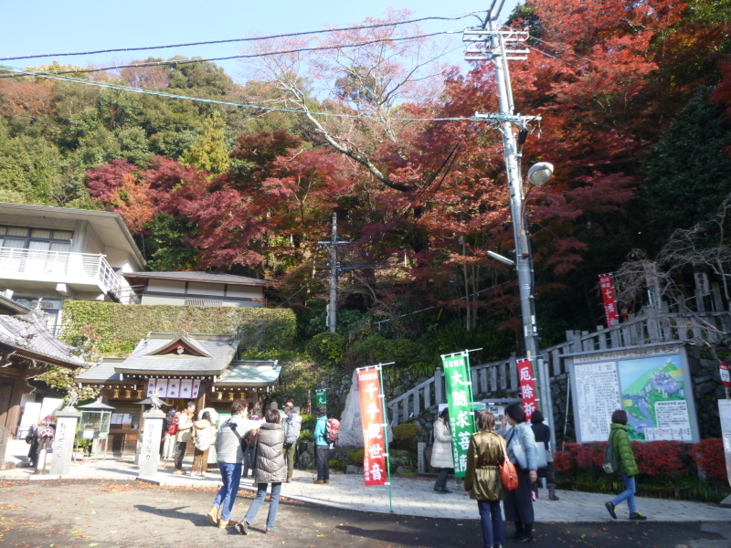 今日のお気に入り写真　寂光院・継鹿尾山 (273M) に登る_d0170615_18540978.jpg