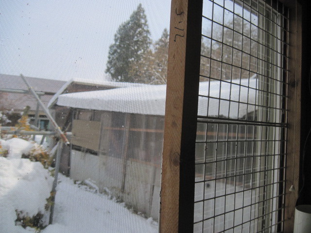 a0023916_15242145.jpg