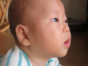 b0344816_21114944.jpeg