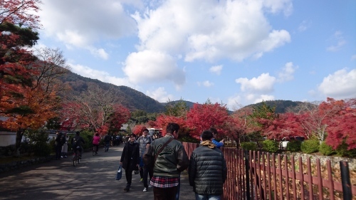 c0140516_20454520.jpg