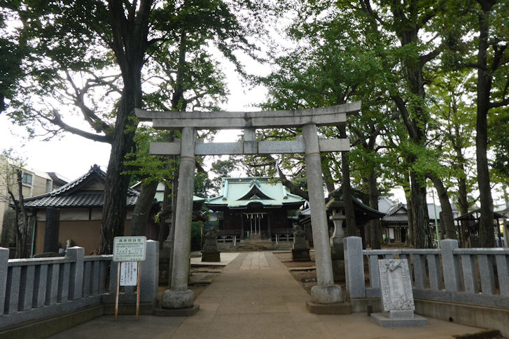 トーキング烏山神社の椎ノ木ブルース_c0051620_636375.jpg