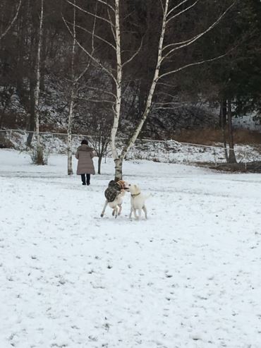 c0114121_021563.jpg