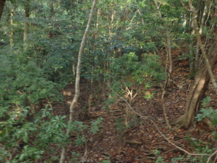 f0193521_19461016.jpg