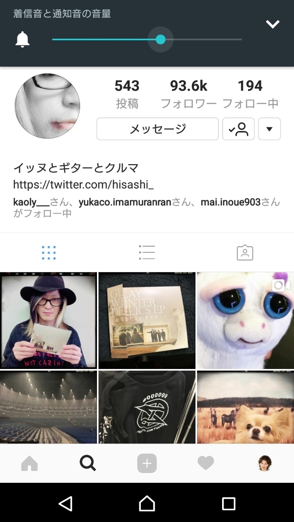 フェイスティペットの情報_d0148223_18093332.jpg