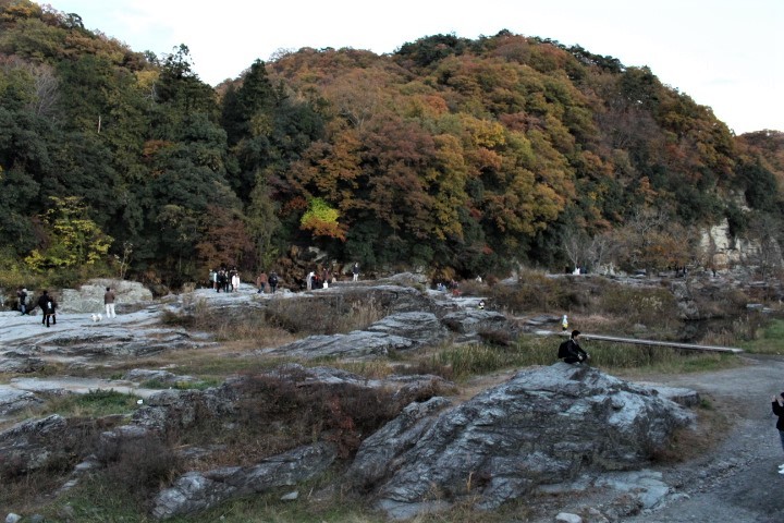 f0354923_20204849.jpg