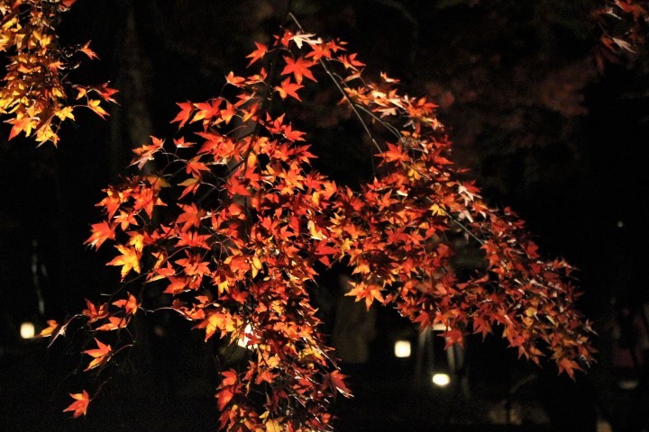f0354923_23205109.jpg