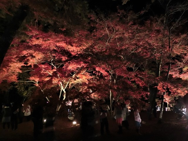 f0354923_23212363.jpg