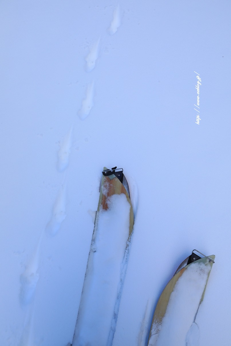 b0062024_15234791.jpg