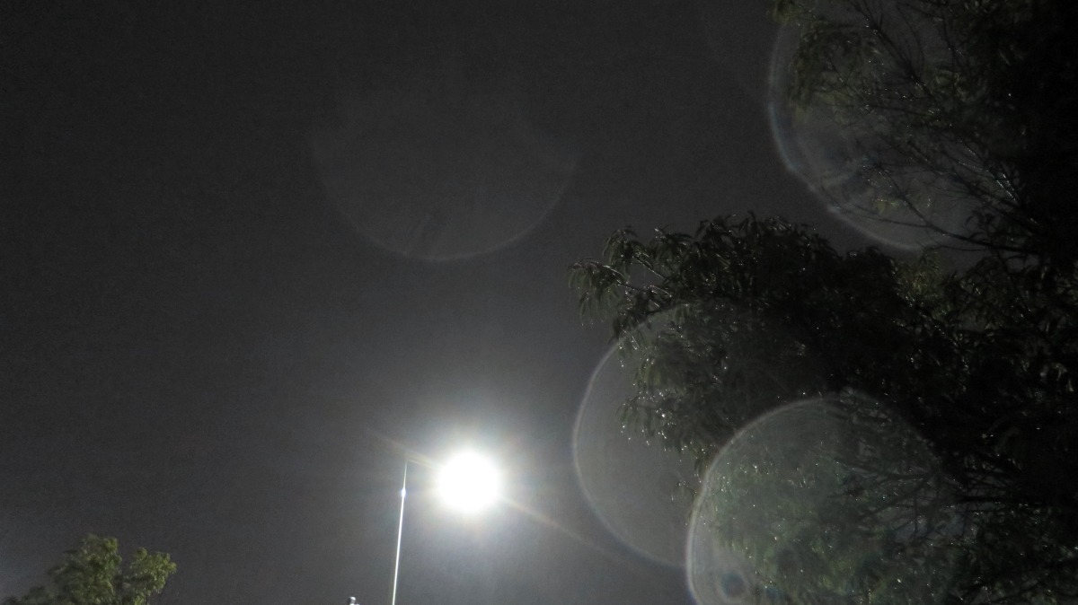 c0331825_10441497.jpg