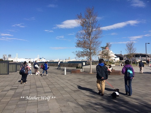 第23回マザーウルフ遠足 横浜レポート_e0191026_15521000.jpg