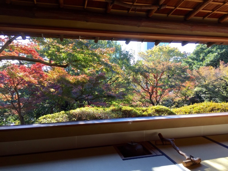 f0229926_00351978.jpeg