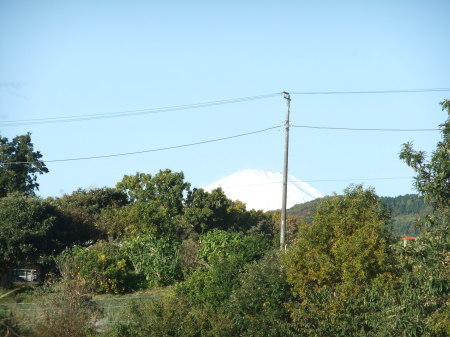 b0137932_15365686.jpg