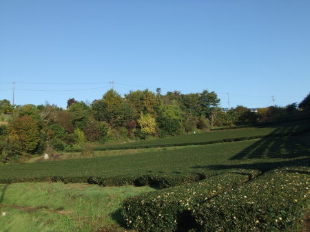 b0137932_16012414.jpg