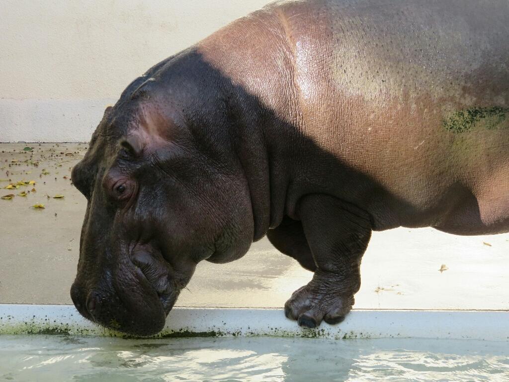 c0209334_00305750.jpg