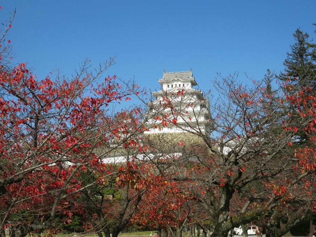c0209334_00503231.jpg