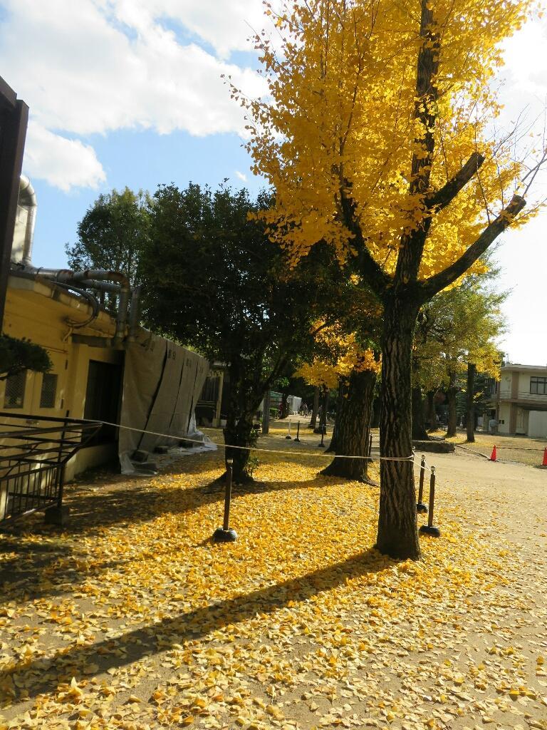 c0209334_00504372.jpg