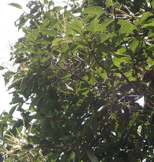c0177135_23485844.jpg