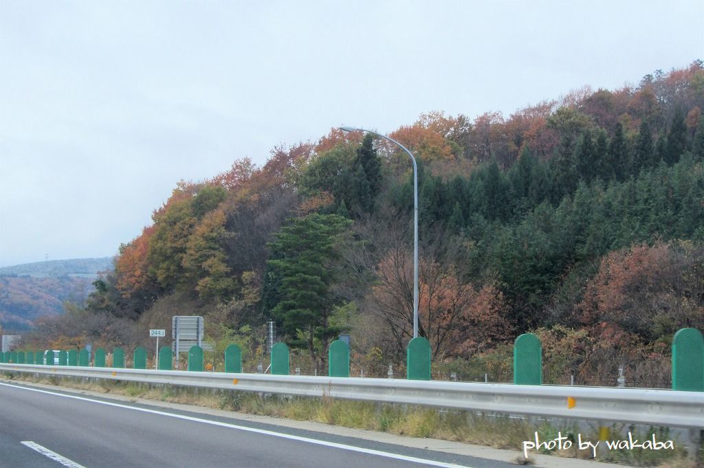 e0052135_16293090.jpg