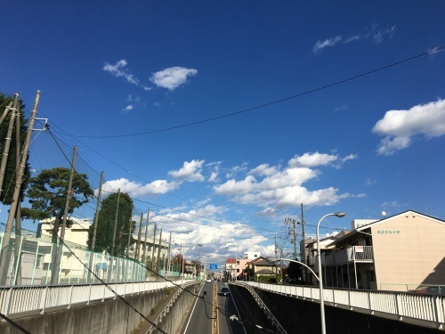 b0330040_14090094.jpeg