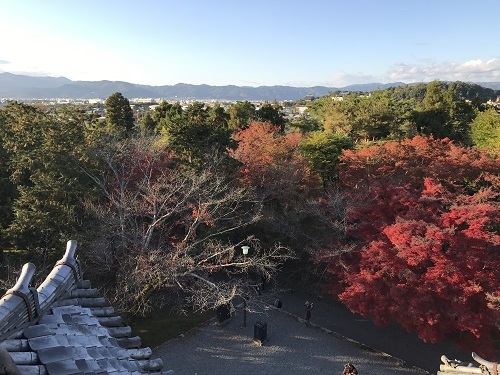 紅葉の南禅寺・水路閣_b0120541_15342879.jpg