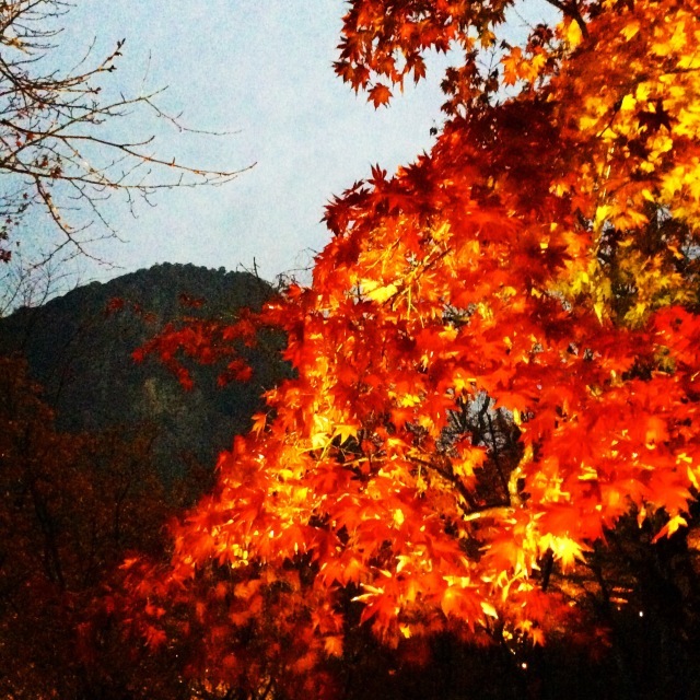 b0125443_13232988.jpeg