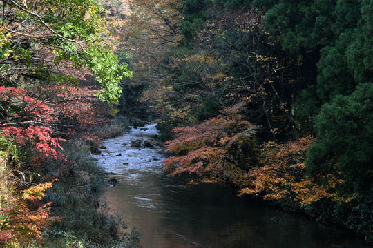c0093046_19130469.gif