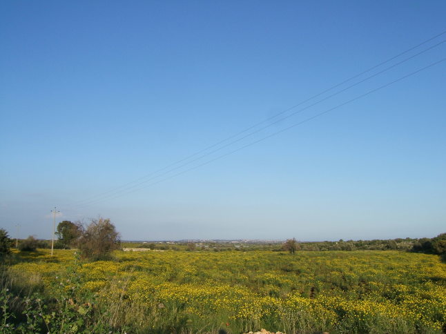a0281547_09314496.jpg