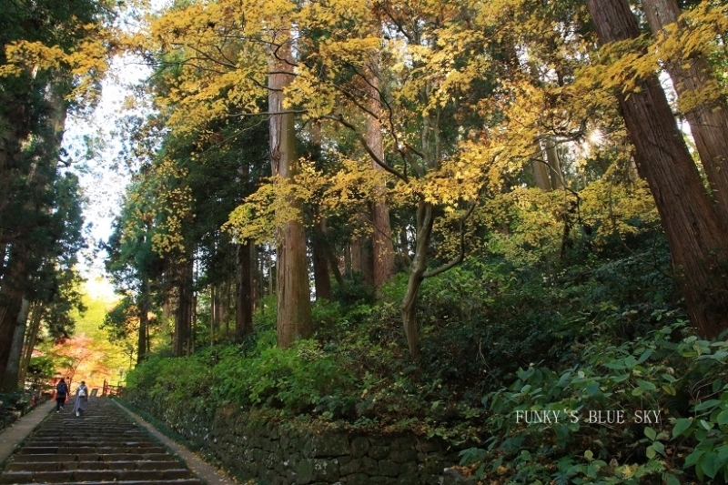 c0145250_10092904.jpg