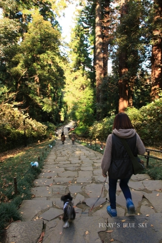 c0145250_10100208.jpg