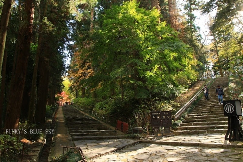 c0145250_10101082.jpg