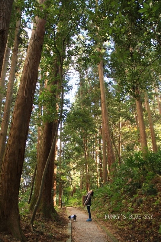 c0145250_10102010.jpg