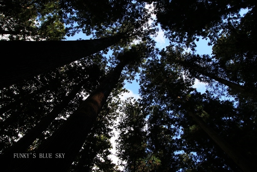 c0145250_10102415.jpg