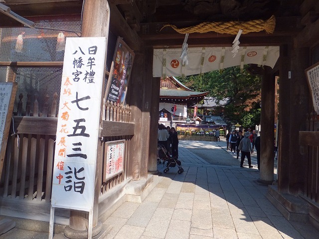 d0048350_19580622.jpg