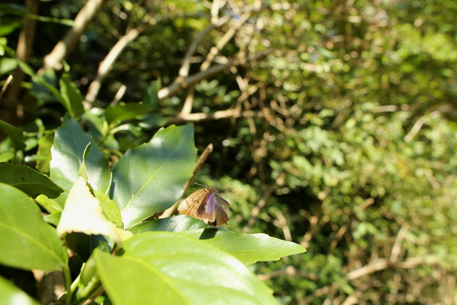 f0345350_20295705.jpg