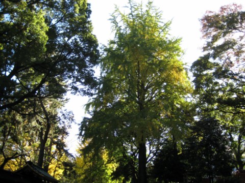 c0226353_16412250.jpg